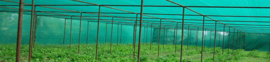 Agricultural Netting