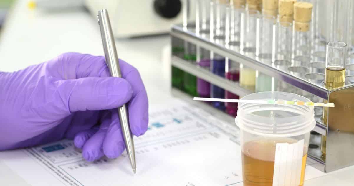 Synthetic urine for drug test 